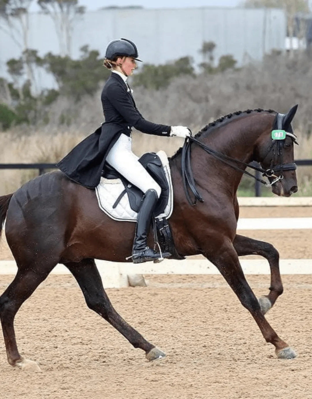 Cambridge Riding Breeches - Ladies