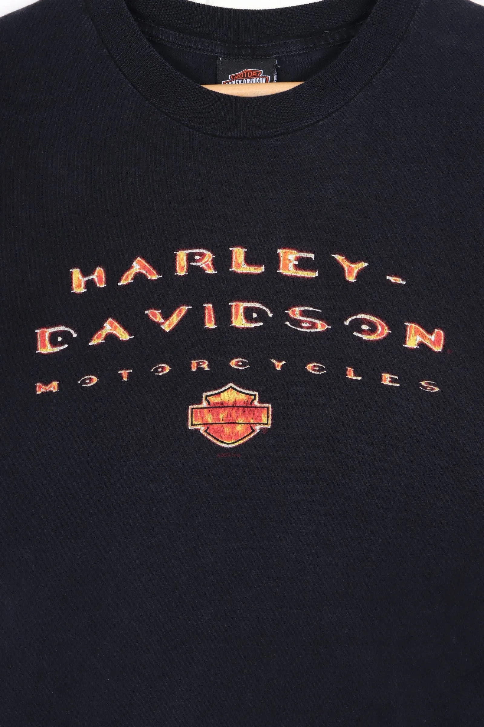 HARLEY DAVIDSON Flaming Spell Out Logo Front Back T-Shirt (M)